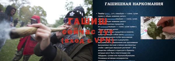 гашик Сатка