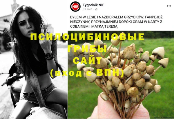 винт Саяногорск