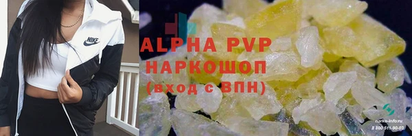 гашик Сатка