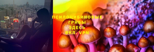 винт Саяногорск