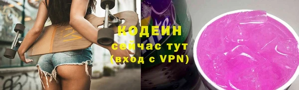 гашик Сатка