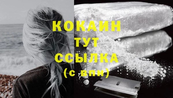 гашик Сатка