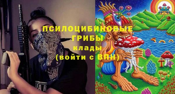 шишки Липки
