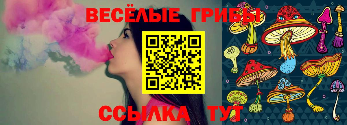Псилоцибиновые грибы Psilocybine cubensis Нижневартовск
