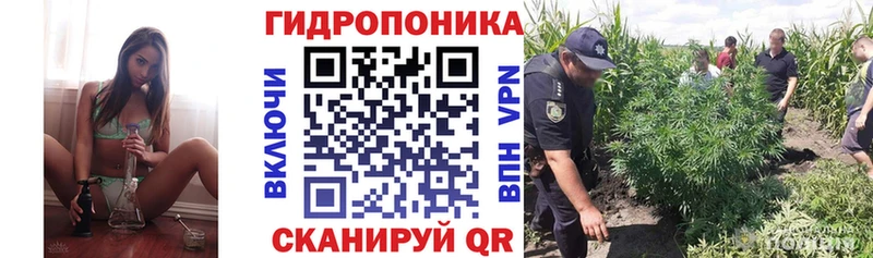 OMG маркетплейс  купить наркоту  Нижневартовск  даркнет как зайти  Конопля ГИДРОПОН 